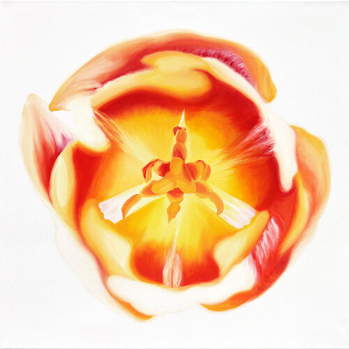 Wonderful Bright Orange Tulip No.1 van Sabine Siewert, Schilderij te koop op Singulart