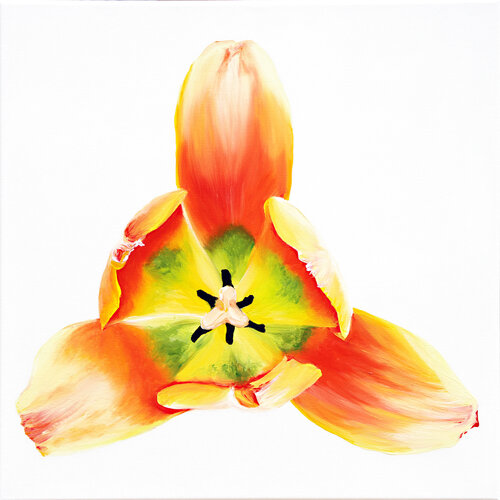 Little Tulip Babe No.1 van Sabine Siewert, Schilderij te koop op Singulart