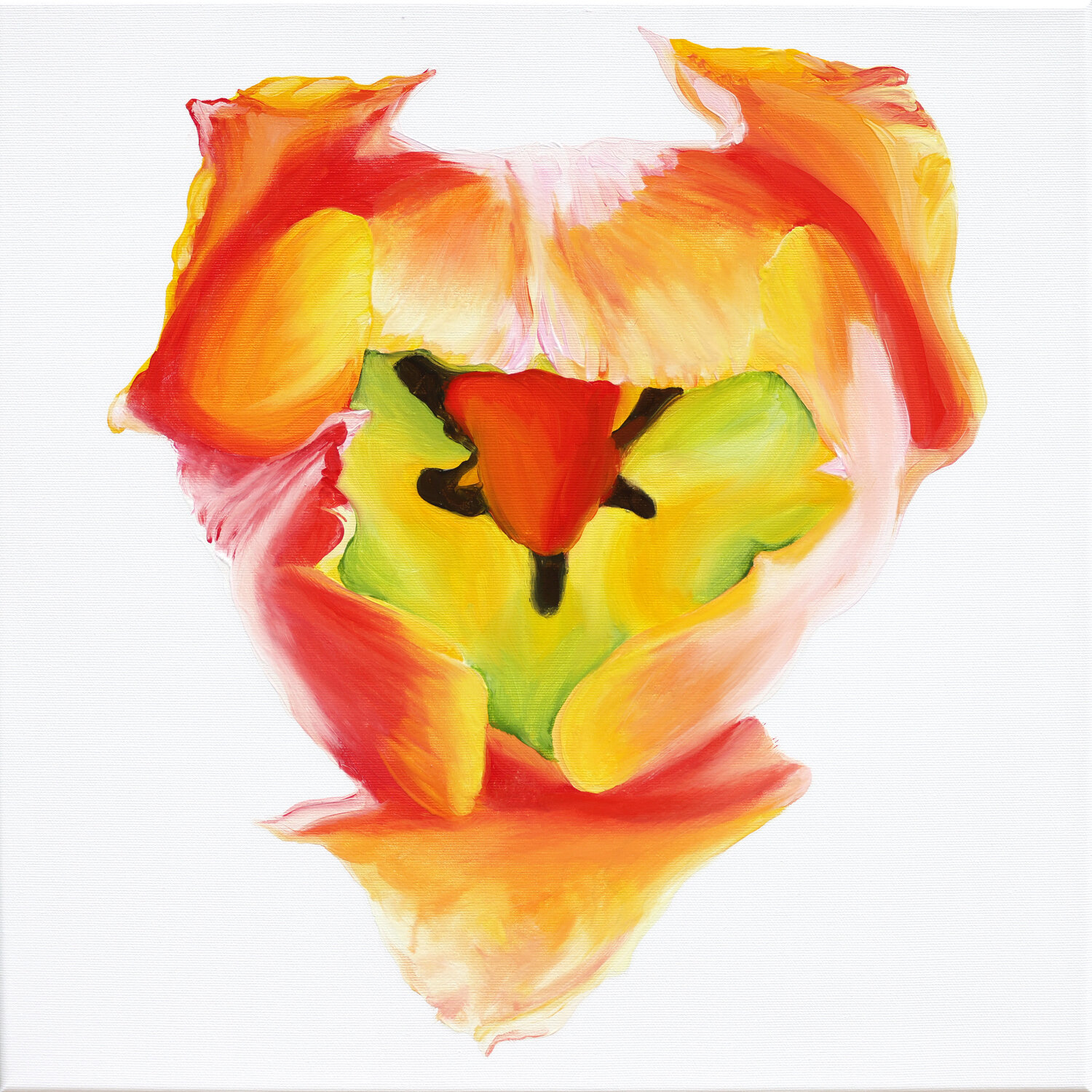 Little Tulip Babe No.2 Sabine Siewert