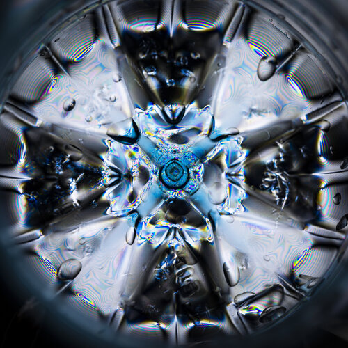 Can you see the Bottom II by Marjon Trap, Photography for Sale on Singulart