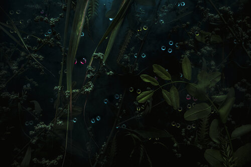 The jungle is looking back by Marjon Trap, Photography for Sale on Singulart