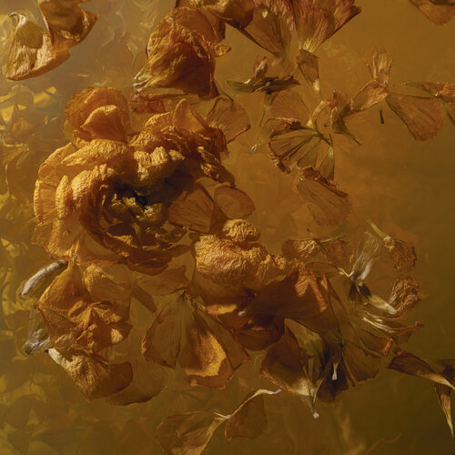 Feeling classical by Marjon Trap, Photography for Sale on Singulart