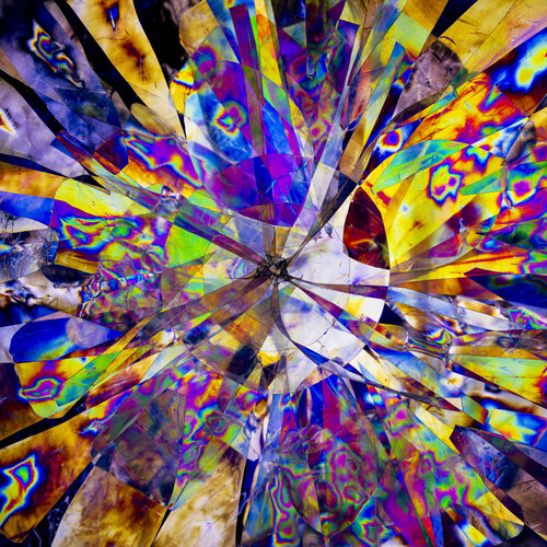 Veggie Plastic by Marjon Trap, Photography for Sale on Singulart