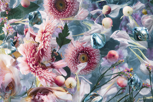 Beautiful gerbera de Marjon Trap, Fotografía a la venta en Singulart