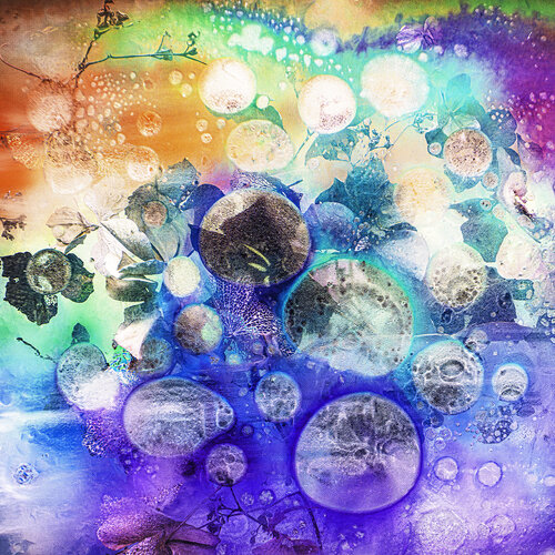 Diversity-Embrace all colors of Life I di Marjon Trap, Fotografia in vendita su Singulart