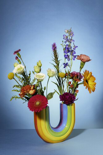 Rainbow flowers by Marjon Trap, Photography for Sale on Singulart
