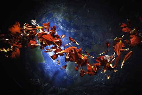 The Red Line von Marjon Trap, Fotografie kaufen auf Singulart