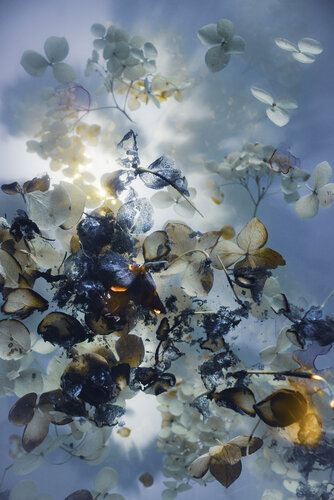 Burning Blue by Marjon Trap, 사진 for Sale on Singulart