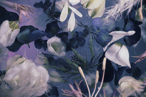 The other blue by Marjon Trap, Photography for Sale on Singulart