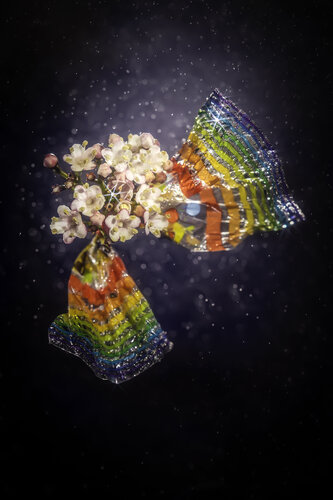 Candy wrap van Marjon Trap, Fotografie te koop op Singulart