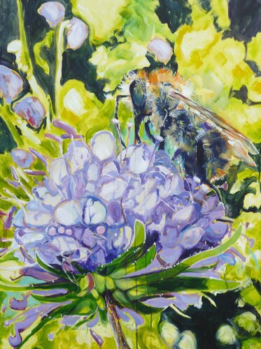 Ackerhummel di Kirsten Treis, Pittura in vendita su Singulart