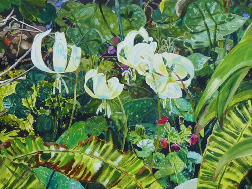 Hundszahnlilie di Kirsten Treis, Pittura in vendita su Singulart