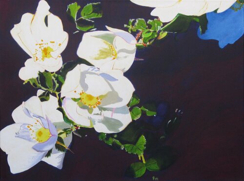 Wildrose di Kirsten Treis, Pittura in vendita su Singulart