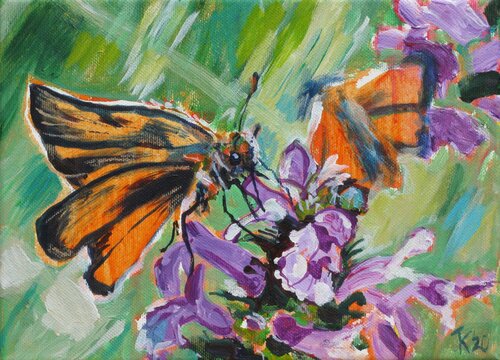 Braun-Dickkopffalter di Kirsten Treis, Pittura in vendita su Singulart
