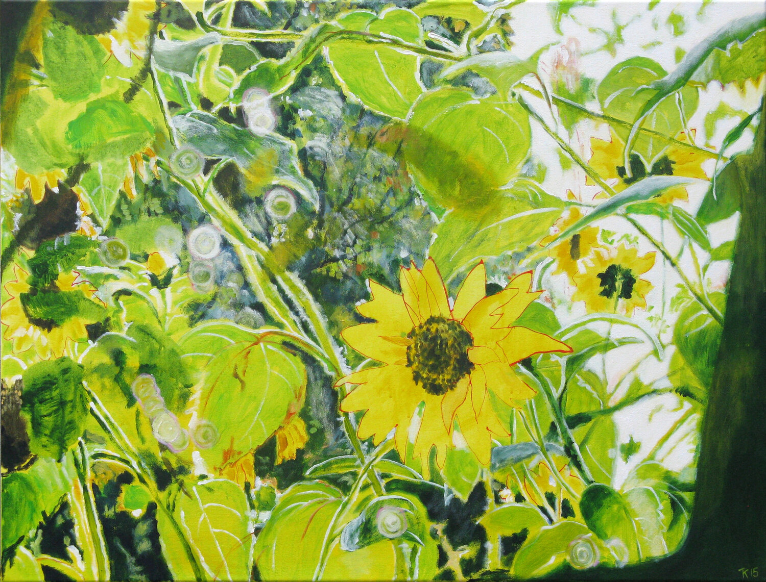 Sonnenblume Kirsten Treis