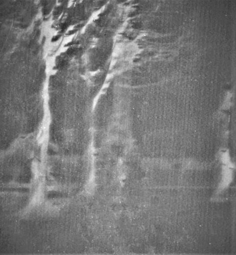 Le Marcheur von John, Fotografie kaufen auf Singulart