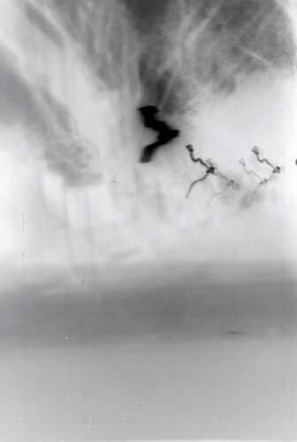 midnight von John, Fotografie kaufen auf Singulart