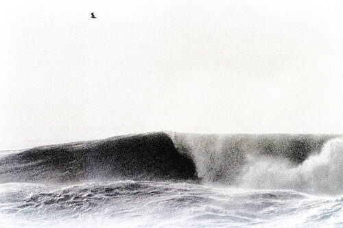 onda e gabbiano by Gianfranco Memmi, Photography for Sale on Singulart