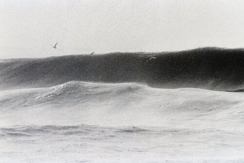 onde e gabbiani by Gianfranco Memmi, Photography for Sale on Singulart
