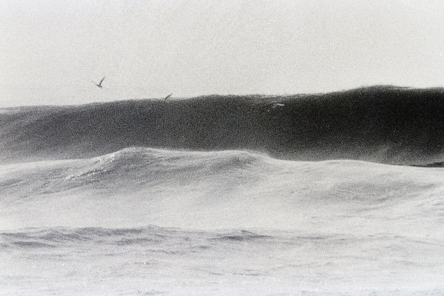 onde e gabbiani Gianfranco Memmi Fotografie te koop