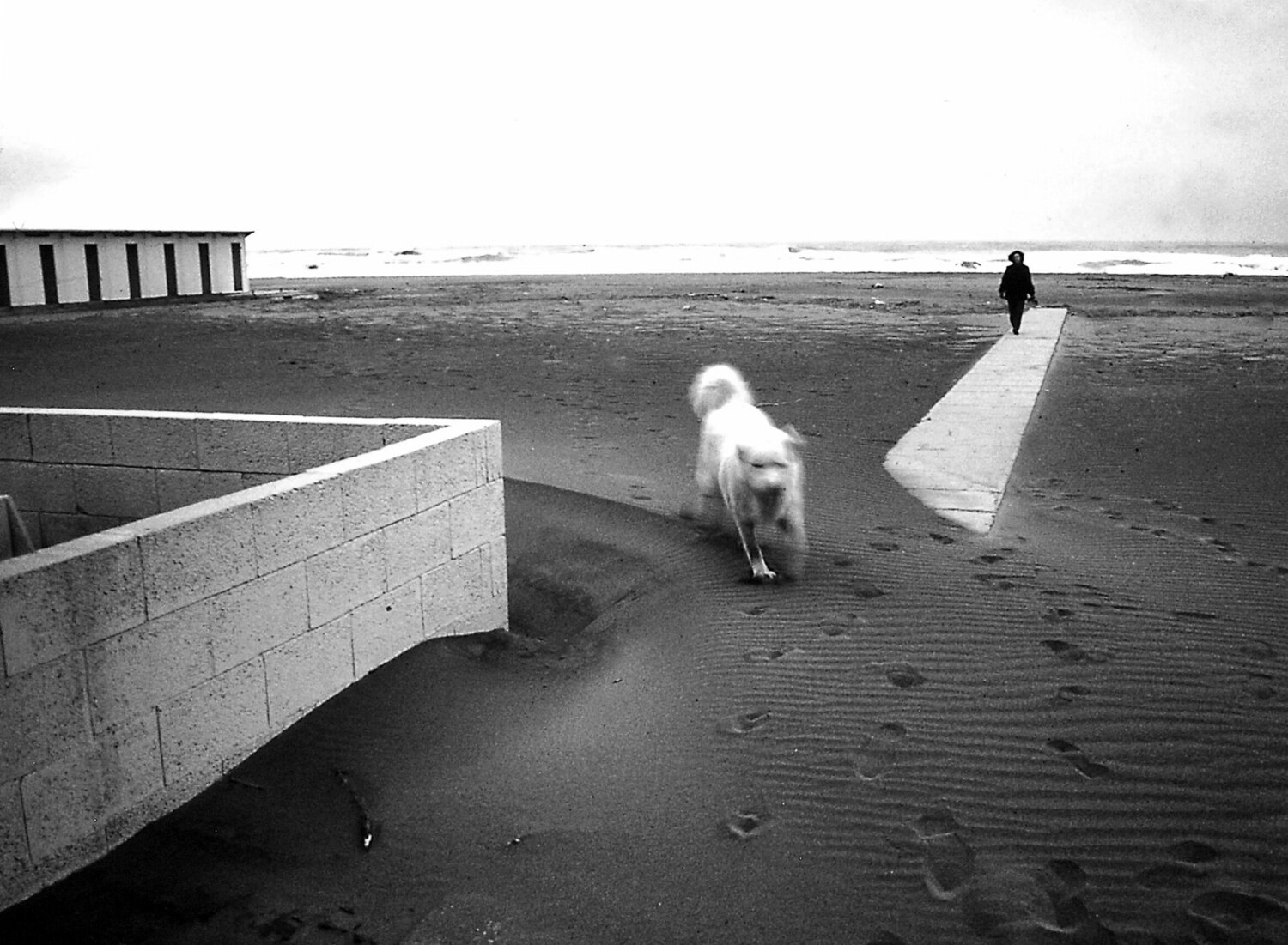 MARE INVERNALE Gianfranco Memmi Fotografie zu verkaufen
