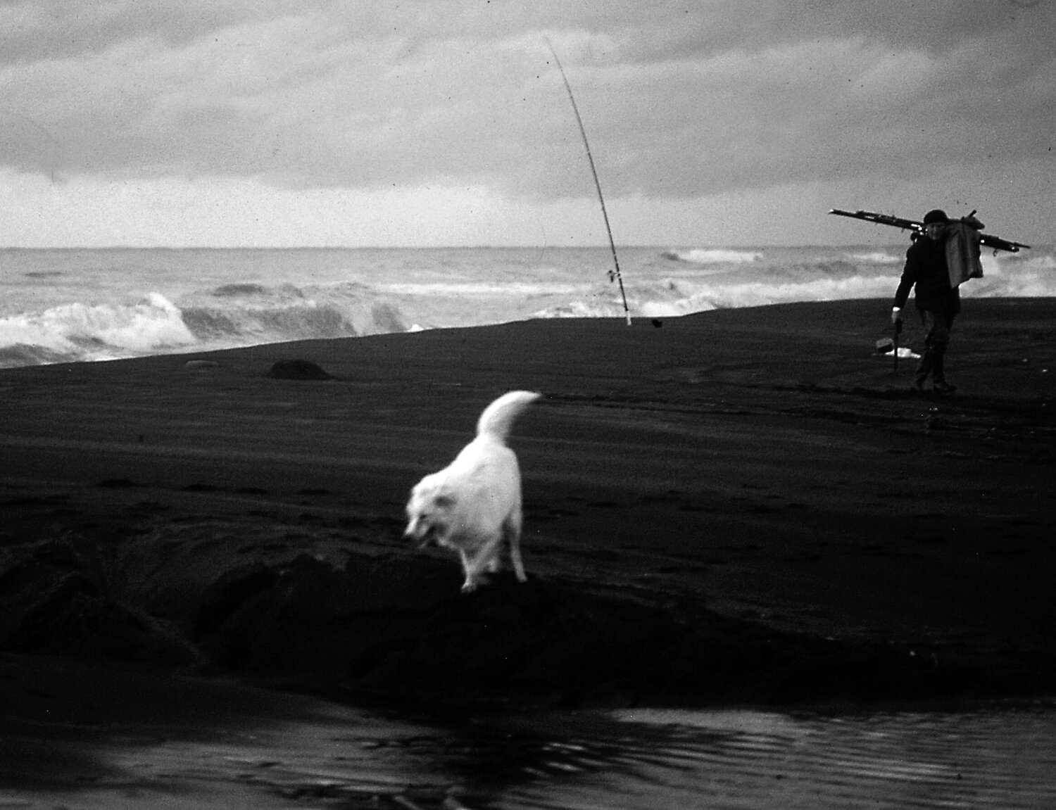 MARE INVERNALE Gianfranco Memmi Fotografie zu verkaufen