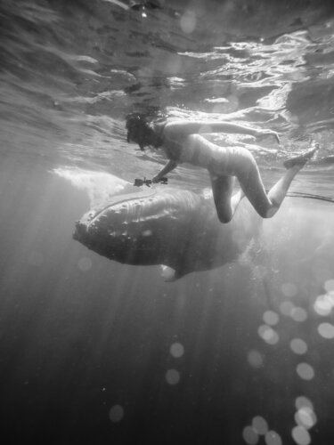 WHALE&NATALY by Evgeny Maklakov, 사진 for Sale on Singulart