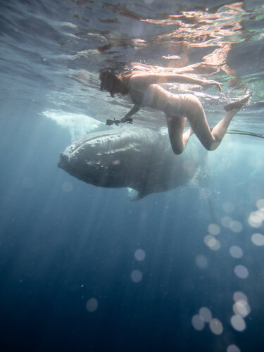 WHALE&NATALY_2 by Evgeny Maklakov, Photography for Sale on Singulart