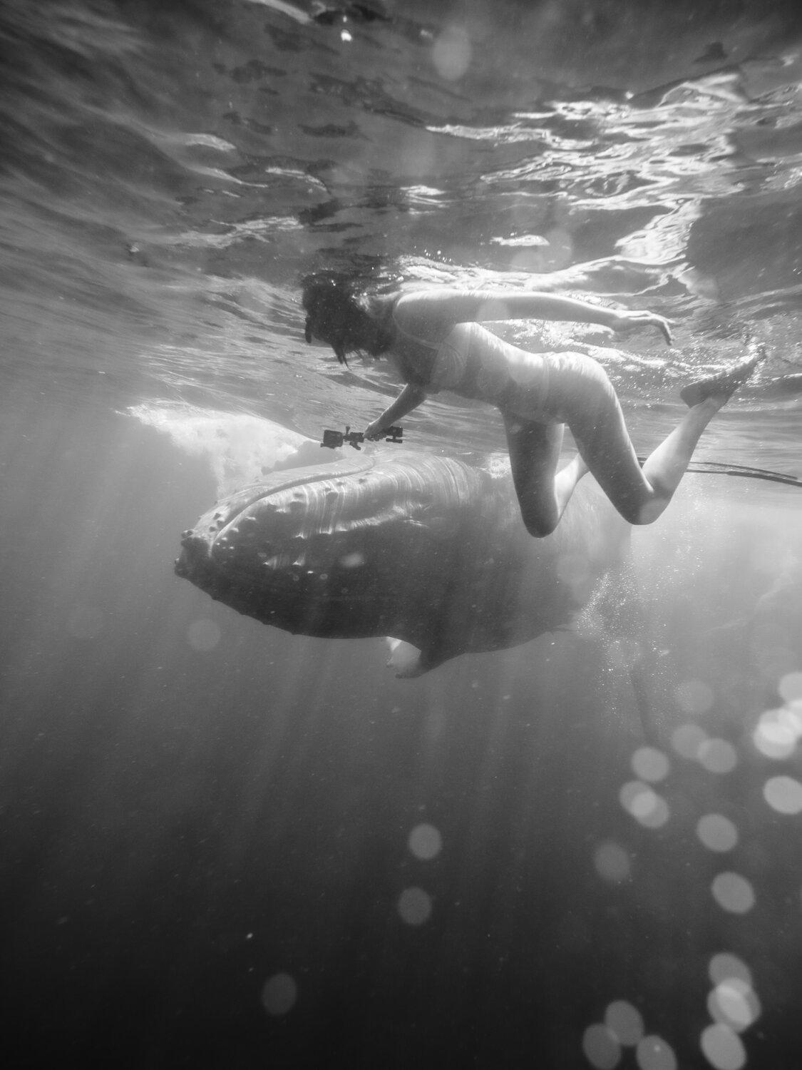 WHALE&NATALY Evgeny Maklakov