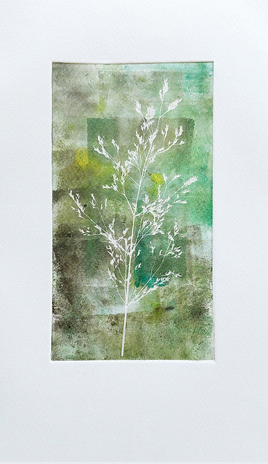 "Farn im Wald" 20x10,5 Edith Sandhofer