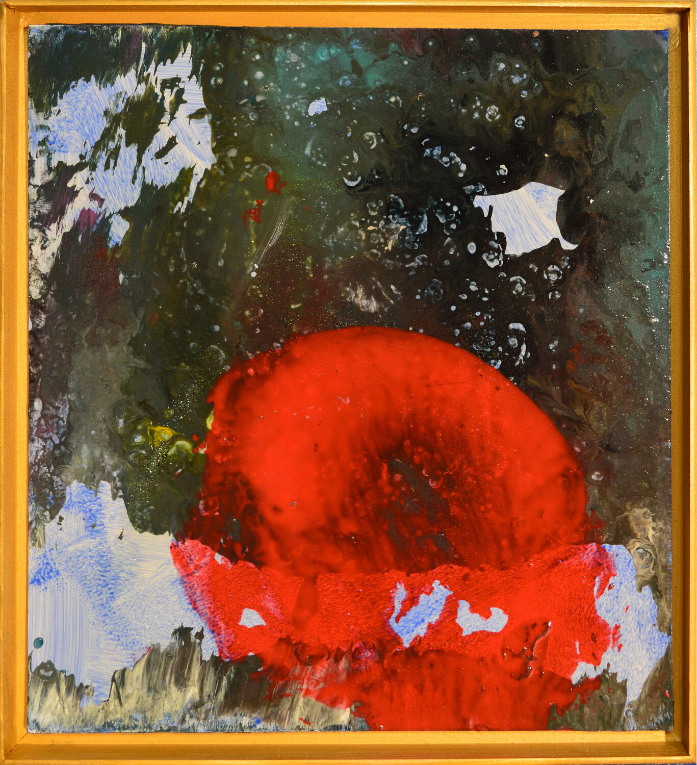 "mystery nature" Edith Sandhofer