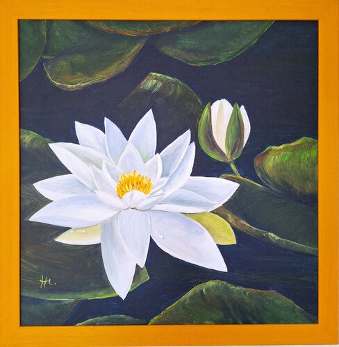 Seerose di Henriette Lorkowski, Pittura in vendita su Singulart