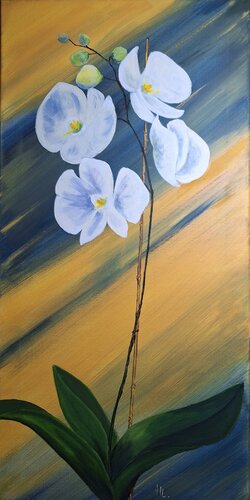 Weiße Orchidee van Henriette Lorkowski, Schilderij te koop op Singulart