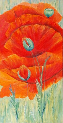 Leuchtender Mohn, die Farbe des Sommers de Henriette Lorkowski, Pintura a la venta en Singulart