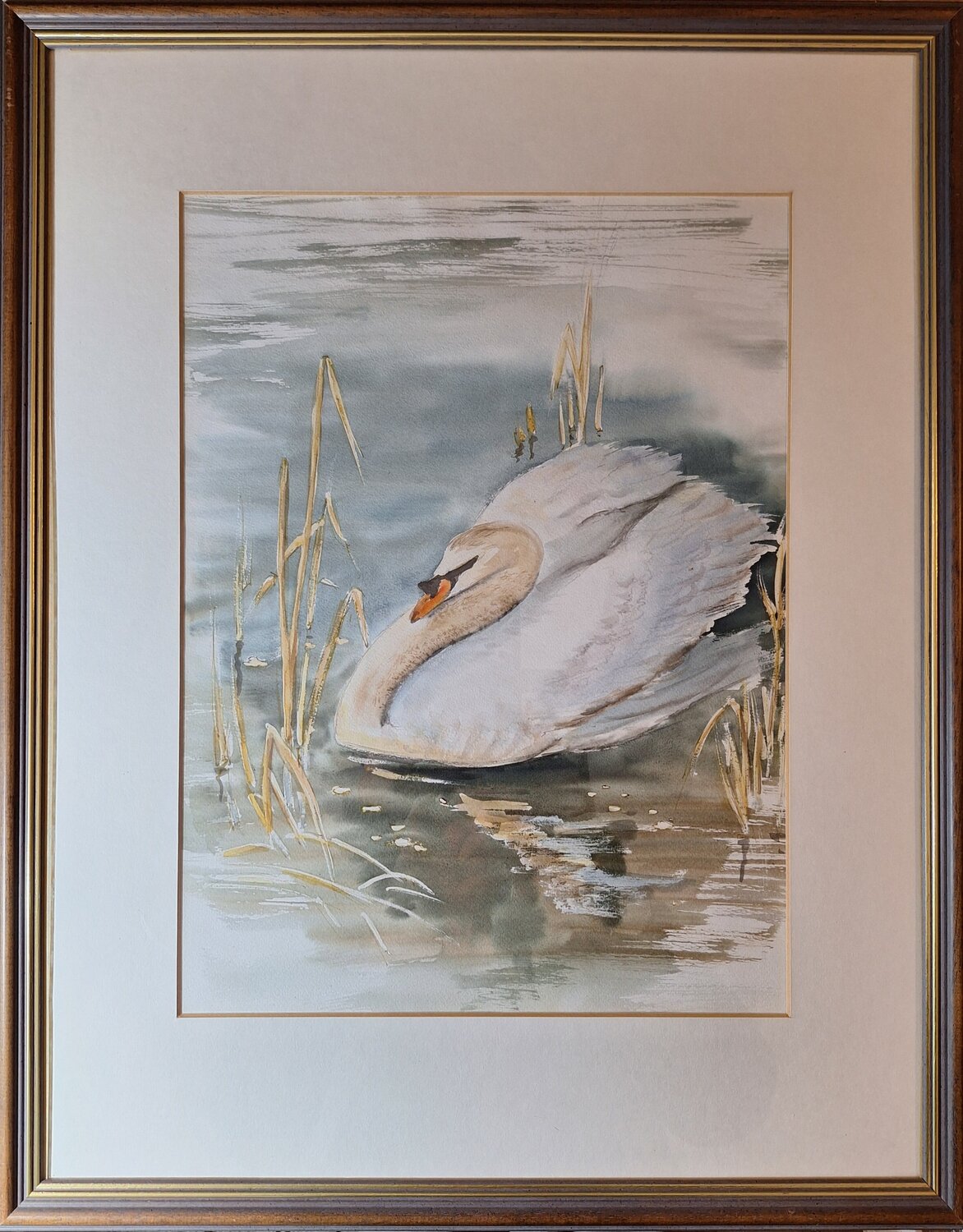 Schwan im Schilf Henriette Lorkowski