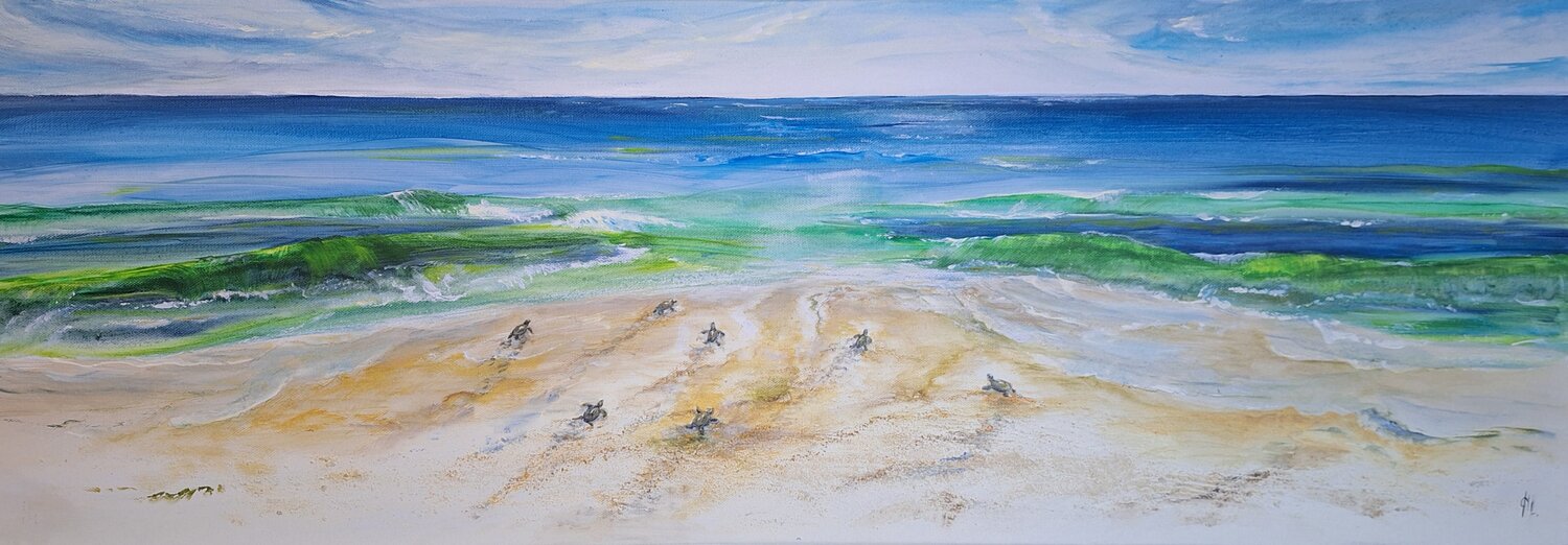 Turtle Beach Henriette Lorkowski