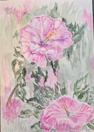 Ibiscus by Christiane Benoit, Work on Paper for Sale on Singulart