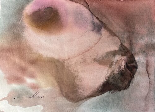 Buffo Buffalo Natalia Averianova