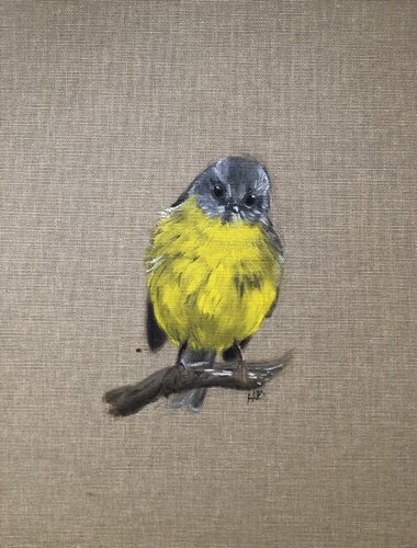 Miro à ventre jaune sur sa branche von Marie-Alix Bourely, Malerei kaufen auf Singulart