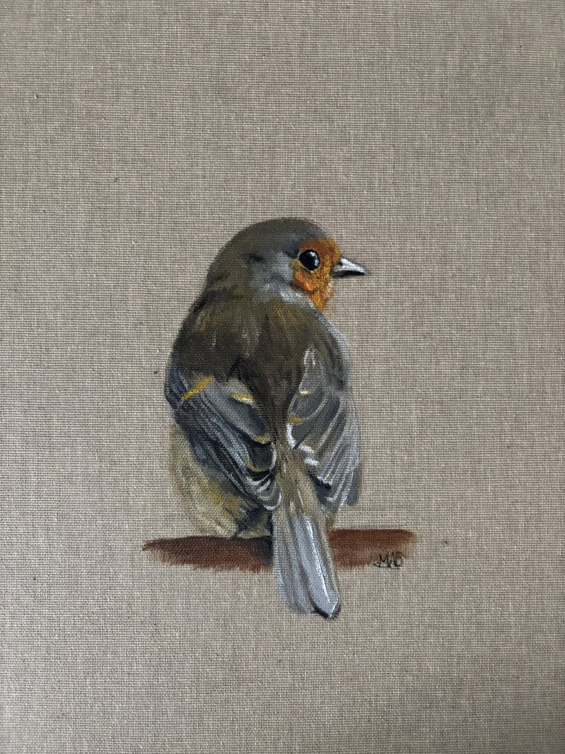 Rouge-gorge de dos Marie-Alix Bourely