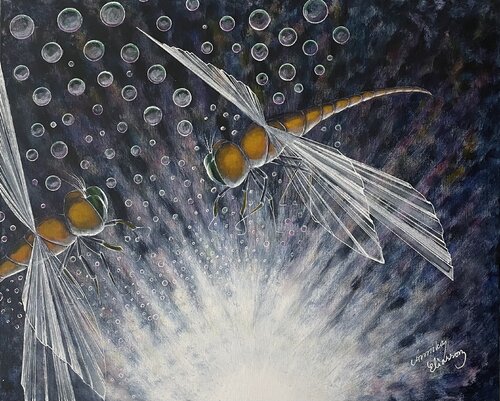 Dragonfly Annika Eliasson