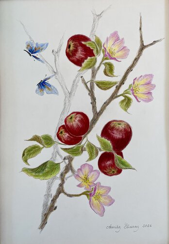 Red apples and pink flowers de Annika Eliasson, Obra en papel a la venta en Singulart