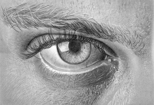 The Eye Sabine KORNATZ