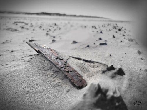 Strandgut by Sabine Leise, Print for Sale on Singulart