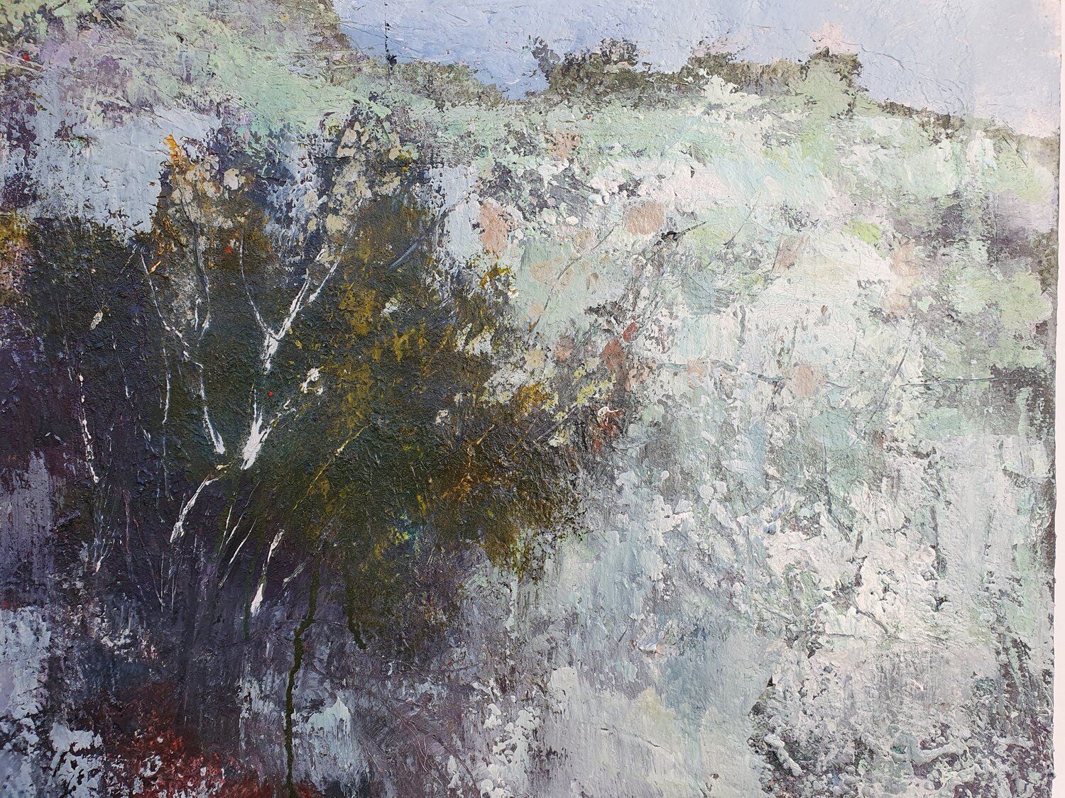 Per  un paesaggio Piero Carozzi