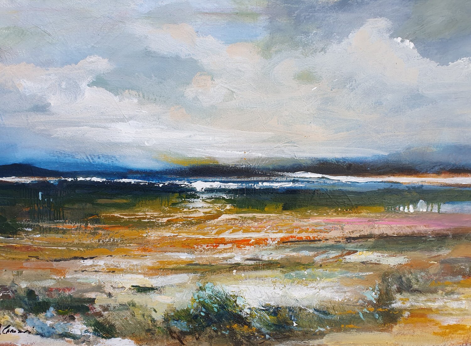 "A bordo campo" Piero Carozzi