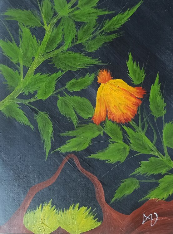 Wunder- Blume Christian Tschierske