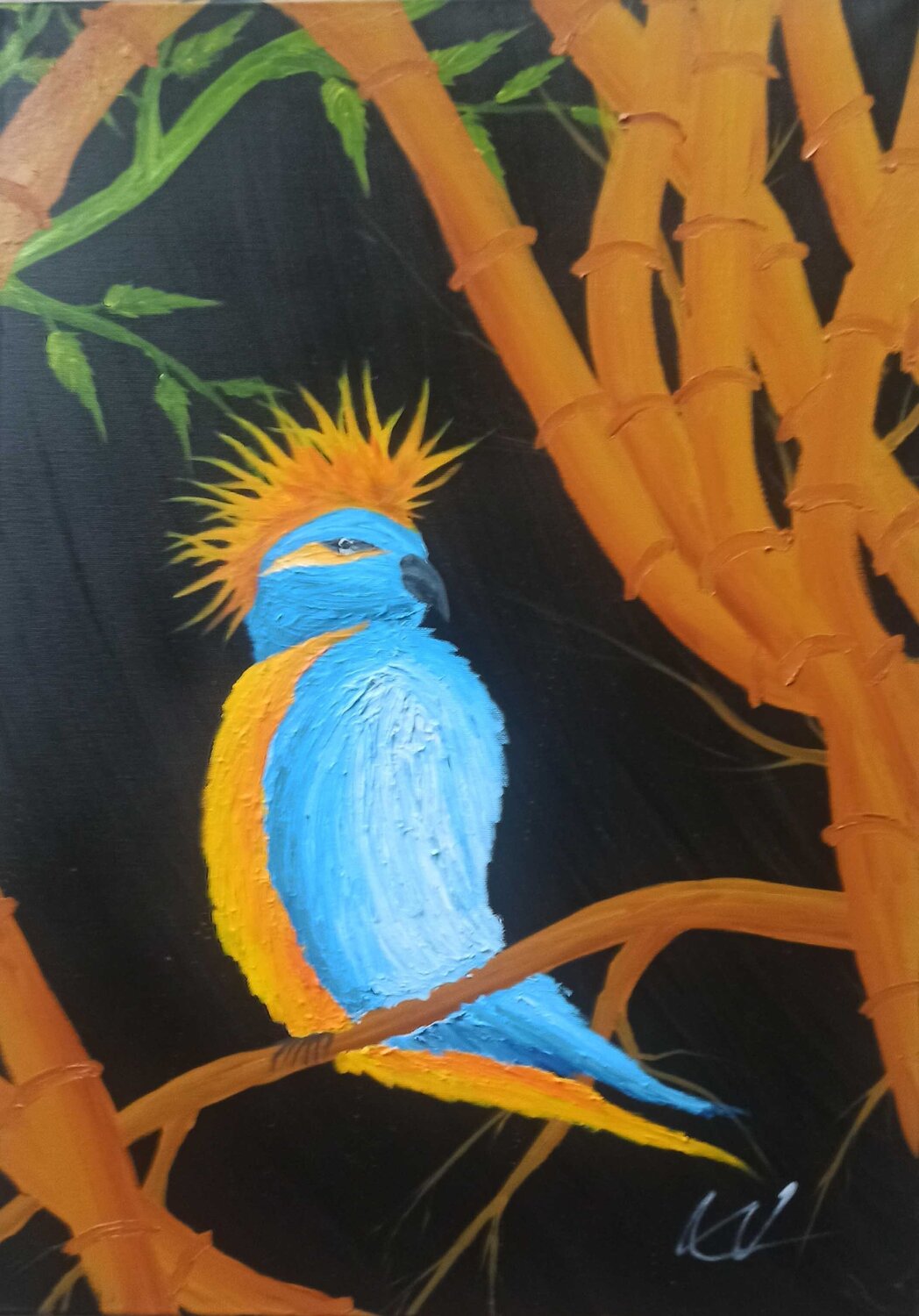 Kakadu Christian Tschierske