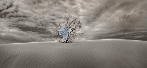 before the cold 03 di Yigal Pardo, Fotografia in vendita su Singulart