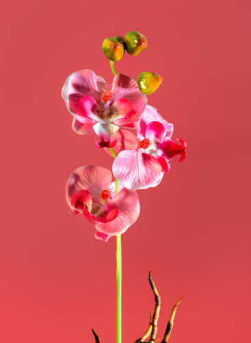 Made in China 03 by Yigal Pardo, Photography for Sale on Singulart